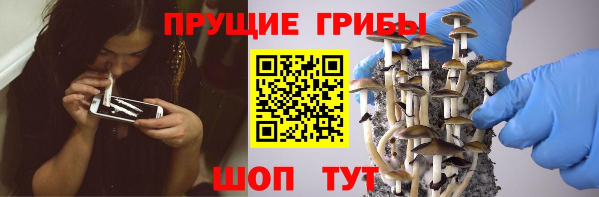 Галлюциногенные грибы GOLDEN TEACHER  Вход с VPN  Феодосия  Галлюциногенные грибы ЛСД 